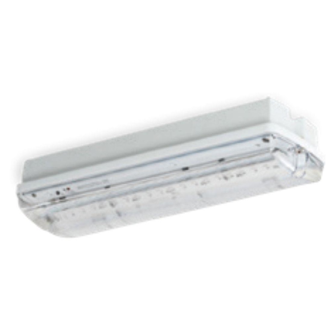 EV-MERCURY-WP-BULKHEAD-NM LED universal mounted Weatherproof Bulkhead. N