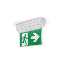 EV-RAZOR-24M- Swing Edgelite Exit. EV-RAZOR-24M- Swing Edgelite Exit.