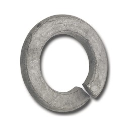 M12 Spring Washer Galvanised (EACH)